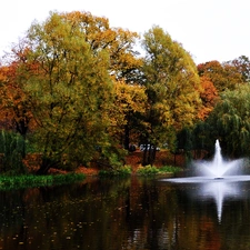 color, Park, viewes, fountain, trees, Autumn