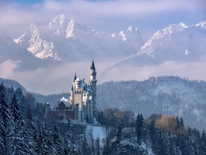 Snowy, forest, trees, winter, Allgäu Region, viewes, Alps Mountains, Germany, Fog, Neuschwanstein Castle, Schwangau Commune, Bavaria