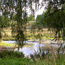 viewes, grass, medows, trees, River