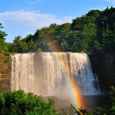 viewes, forest, Great Rainbows, trees, waterfall