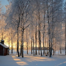 sun, trees, Houses, luminosity, Przebijaj?ce, field, viewes, winter, flash, ligh