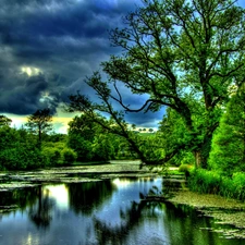 lake, trees, viewes, clouds