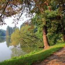 lake, trees, viewes, Way