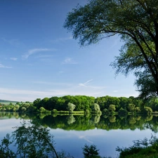 lake, trees, viewes, woods