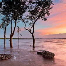 viewes, lake, sun, trees, west