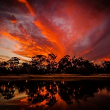 viewes, lake, sun, trees, west