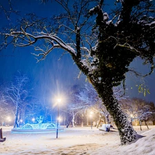 fountain, Park, viewes, lanterns, trees, winter