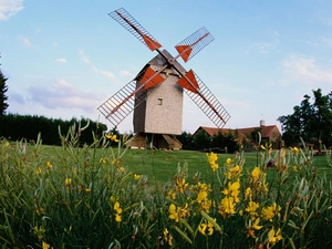 trees, viewes, meadow, Flowers, Windmill