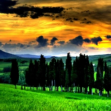 Mountains, trees, viewes, Meadow