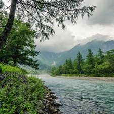 Mountains, trees, viewes, River