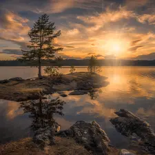 lake, Ringerike Municipality, trees, Sunrise, Norway, Islet, viewes