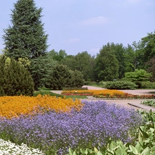 Park, trees, viewes, Flowers