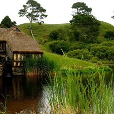 viewes, Plants, water, trees, Windmill