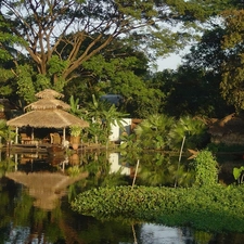 viewes, green, Pond - car, trees, arbour