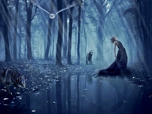 wolves, trees, reflection, viewes, Women, owl, water