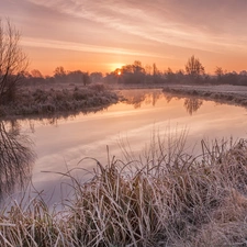 sun, River, viewes, rime, trees, west