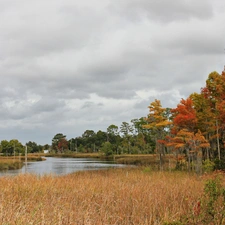 River, trees, viewes, grass