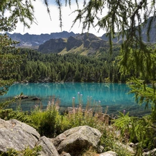 viewes, rocks, lake, trees, Mountains