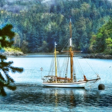 Gulf, trees, viewes, sailing vessel