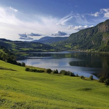 grass, lake, viewes, Sky, trees, Field