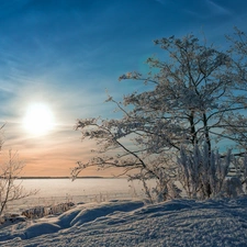 trees, sun, Bush, lake, east, viewes, snow