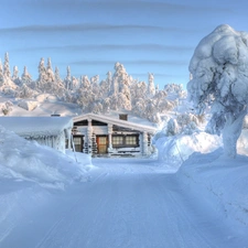 viewes, snow, Home, trees, Way