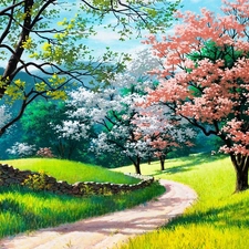 viewes, Spring, flourishing, trees, Way