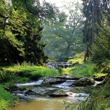 viewes, Stones, River, trees, forest