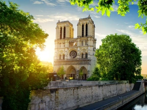 Paris, France, trees, viewes, Cathedral Notre Dame