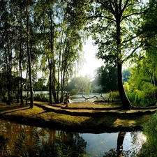 viewes, lake, trees