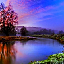 viewes, lake, trees