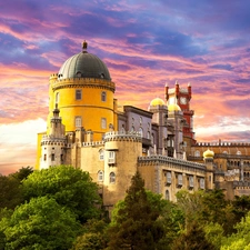 viewes, palace, trees