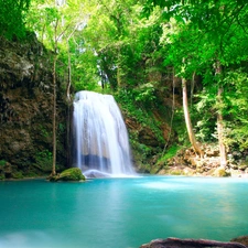 viewes, waterfall, trees