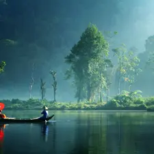 bath-tub, trees, viewes, River