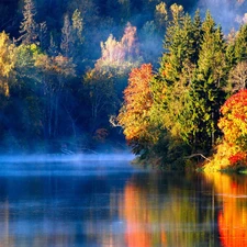 water, trees, viewes, Fog