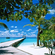 water, trees, viewes, pier