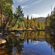 water, trees, viewes, Stones