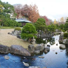 water, trees, viewes, Stones