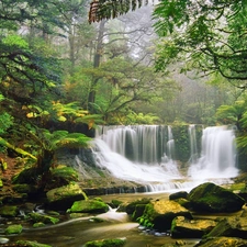 waterfall, trees, viewes, Stones