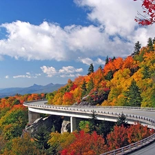 viewes, Way, color, trees, Mountains