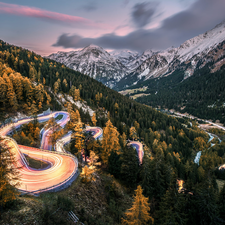 woods, trees, Way, viewes, Mountains, winding, Switzerland