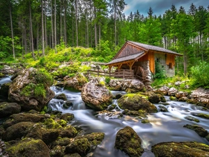 stream, flux, Windmill, trees, forest, Stones, mossy, viewes
