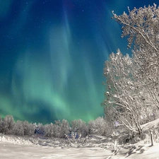 viewes, winter, Polaris, trees, dawn