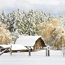 viewes, winter, Field, trees, farm