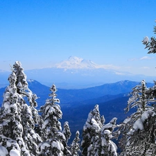 viewes, winter, Snowy, trees, Mountains