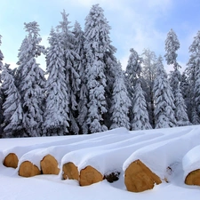 winter, trees, viewes, Snowy