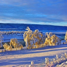 winter, trees, viewes, Way