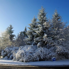 viewes, winter, Snowy, trees, Way