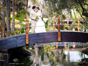 bridges, Steam, trees, viewes, water, young
