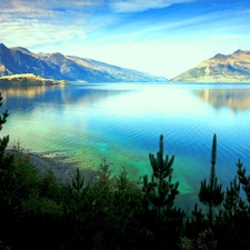 viewes, New Zeland, Mountains, trees, lake